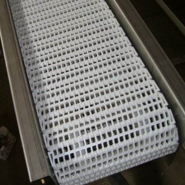 塑鋼網(wǎng)帶輸送機(jī)-5